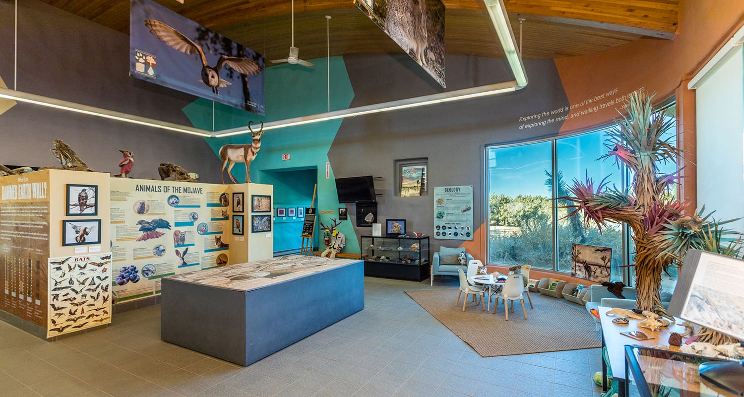 A nature exhibit hall featuring displays of animal models, informative posters, a central information kiosk, a seating area with children's activities, and a large window with a view of the outdoors.